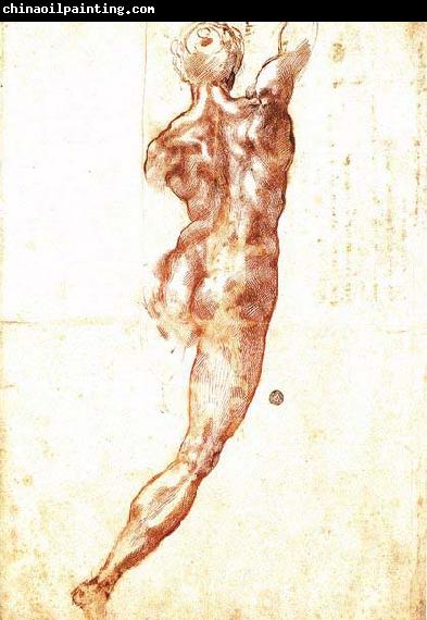 Michelangelo Buonarroti Study for a Nude