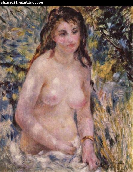 Pierre-Auguste Renoir Nude In The Sun,