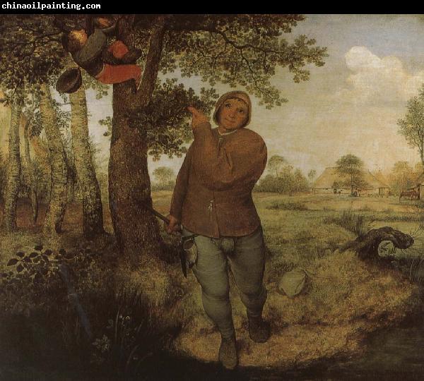 Pieter Bruegel From farmers and Selenocosmia