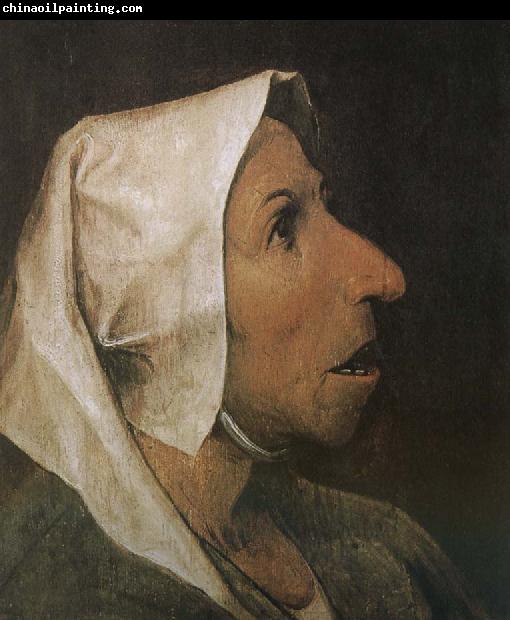 Pieter Bruegel Portrait of woman