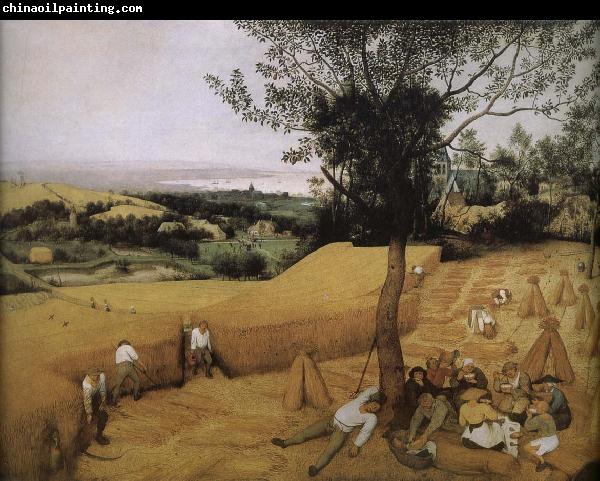 Pieter Bruegel Michael received