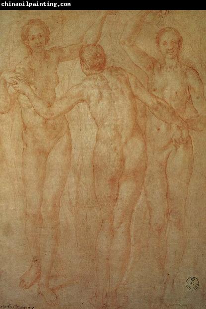 Pontormo The three goddesses