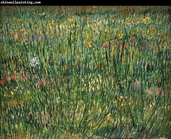 Vincent Van Gogh Patch of Grass