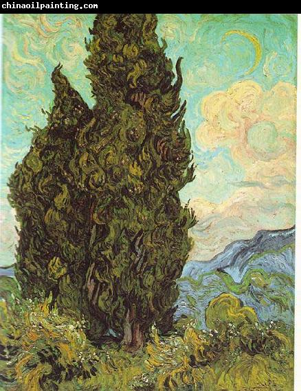 Vincent Van Gogh Cypresses