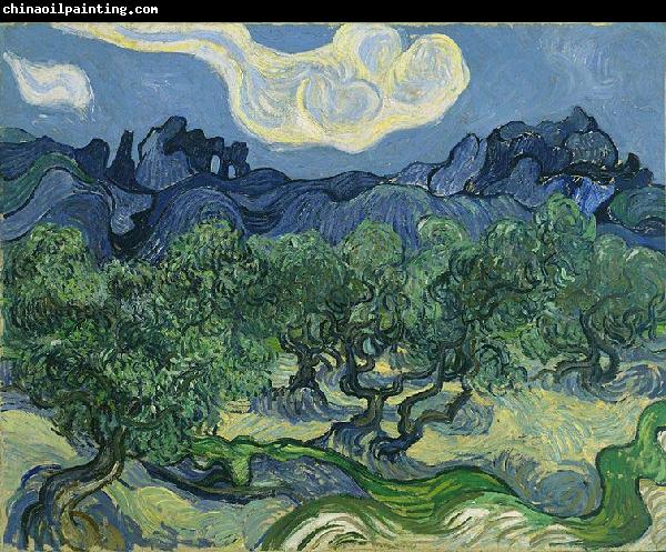 Vincent Van Gogh The Olive Trees