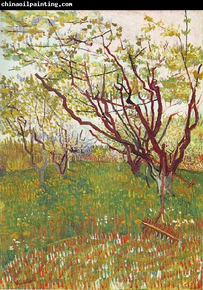 Vincent Van Gogh Cherry Tree