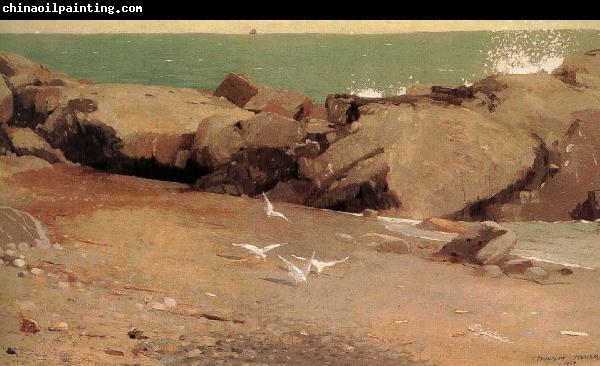 Winslow Homer Rocky shore and the seagulls