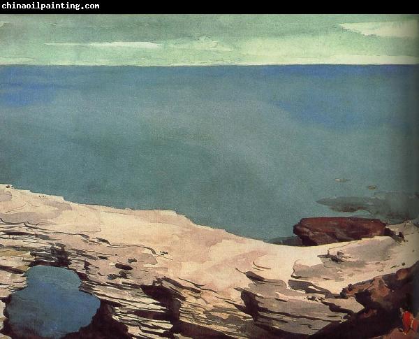 Winslow Homer Natural Bridge