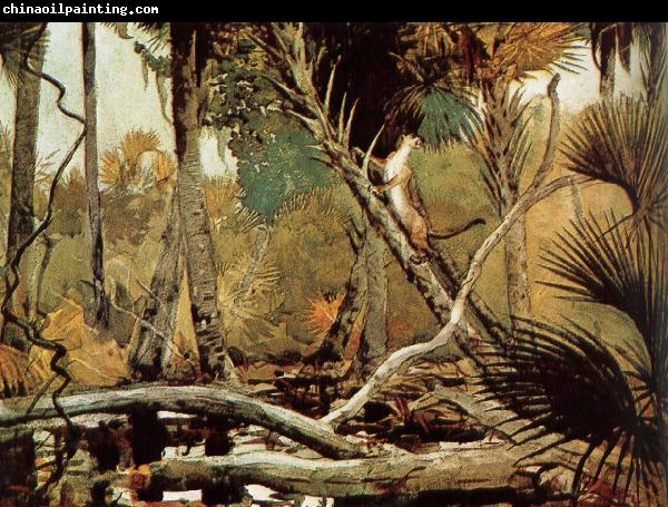 Winslow Homer Florida Jungle