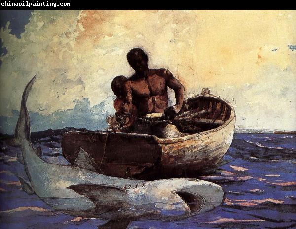 Winslow Homer Shark