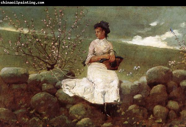 Winslow Homer Peach bloom