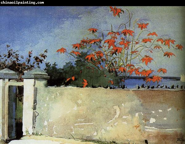 Winslow Homer Wall