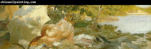 Anders Zorn solbad pa dalaro