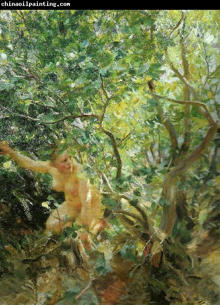 Anders Zorn skramd