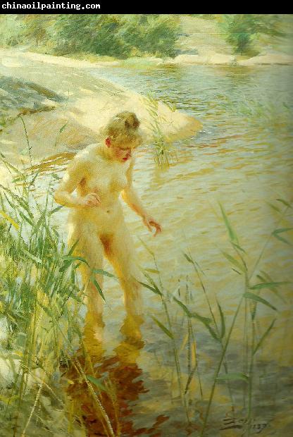 Anders Zorn reflexer