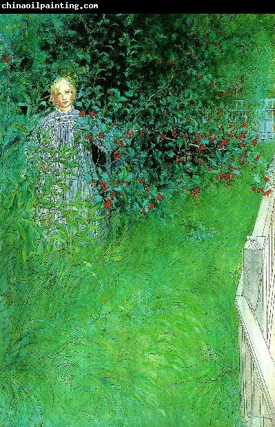 Carl Larsson i hagtornshacken