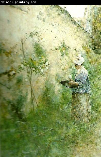 Carl Larsson gamla muren