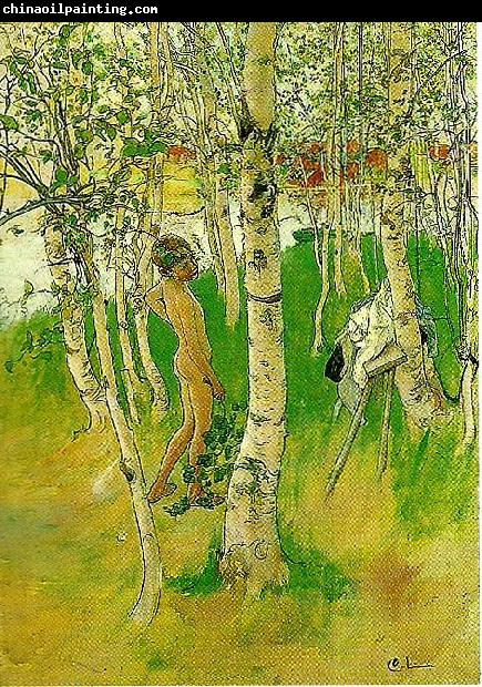 Carl Larsson ulf en naken pojke mellan bjorkstammar-ulf badar pa bullerholmen