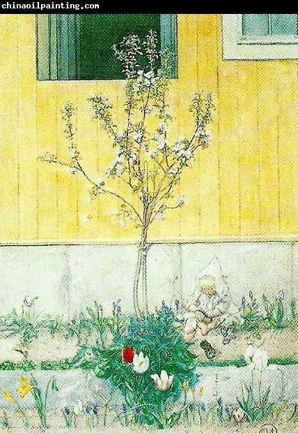 Carl Larsson hellbergs minsta