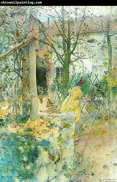 Carl Larsson moter