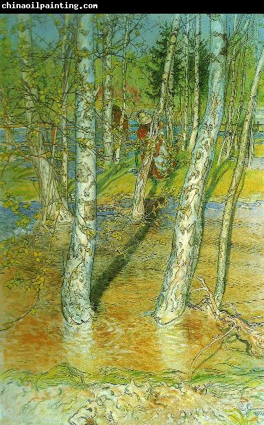 Carl Larsson varflod- oversvamning