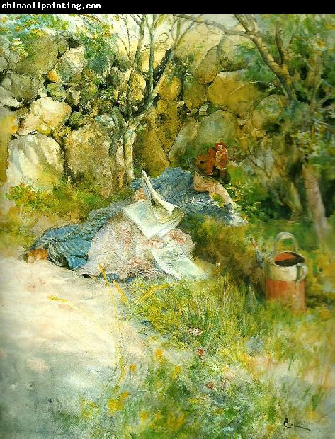 Carl Larsson salitude