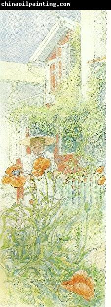 Carl Larsson vallma