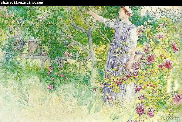 Carl Larsson bikupor och rosor-bikuporna-i tradgarden