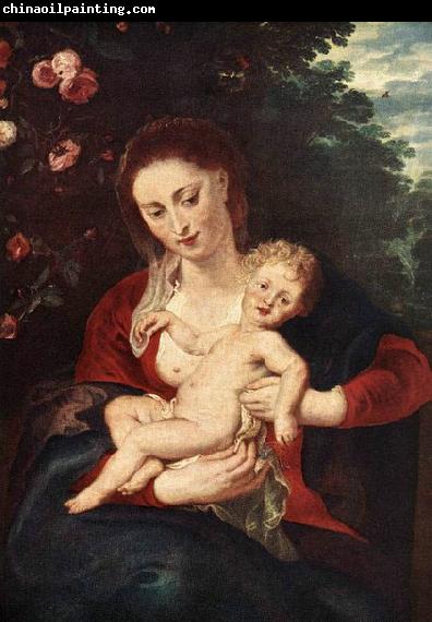 RUBENS, Pieter Pauwel Virgin and Child