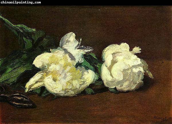 Edouard Manet Stilleben, Weibe Pfingstrosen