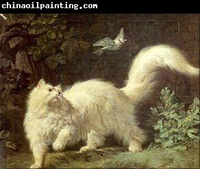 Jean-Jacques Bachelier Un chat Angora