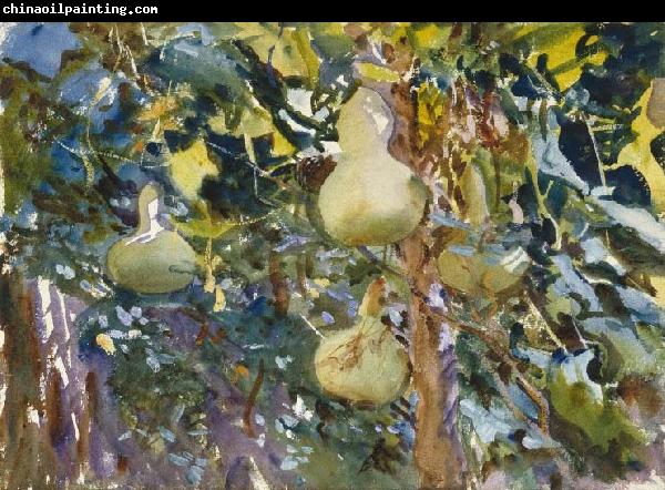 John Singer Sargent Gourds