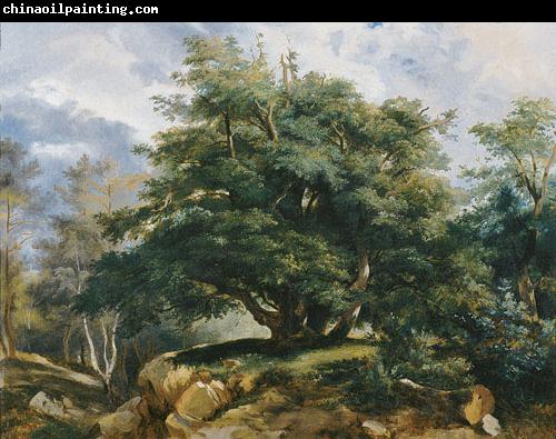 Jules Coignet The Old Oak in the Forest of Fontainebleau