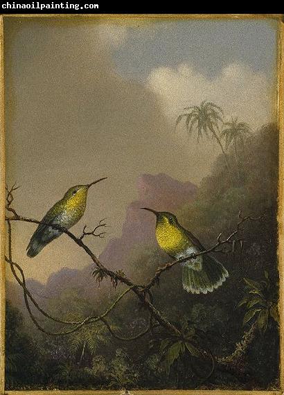 Martin Johnson Heade Two Humming Birds