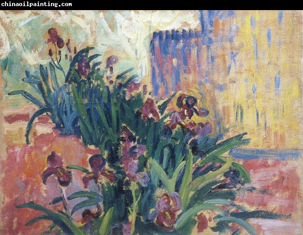 Paul Signac irises