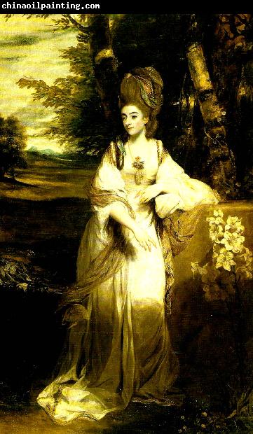 Sir Joshua Reynolds lady bampfylde
