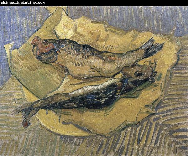 Vincent Van Gogh herrings