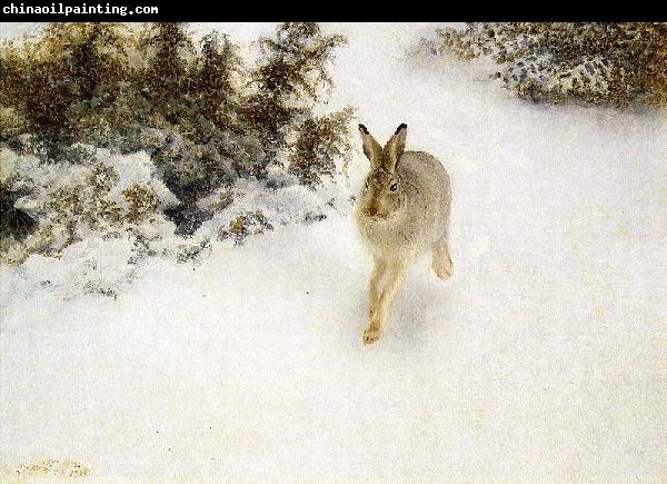 bruno liljefors Winter Hare