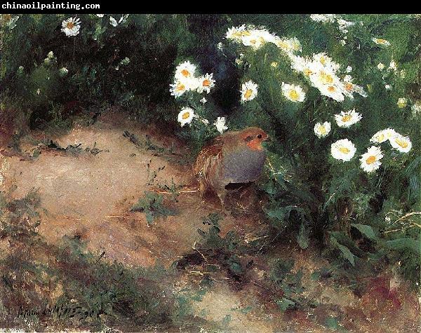 bruno liljefors Partridge with Daisies