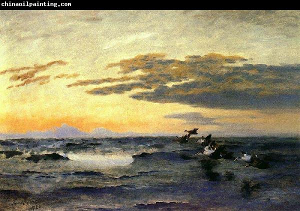 bruno liljefors Eiders at Sunrise