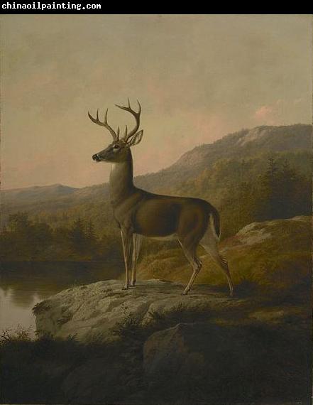 unknow artist Deer