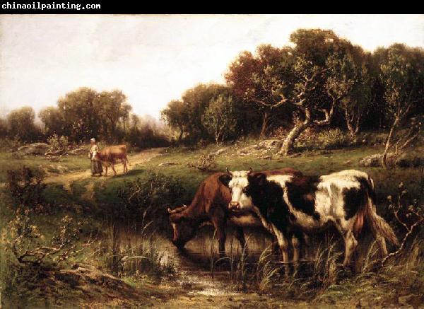 unknow artist Cattle in a Pool