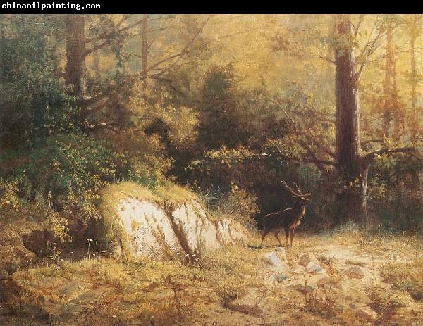 unknow artist Forest landscape with a deer