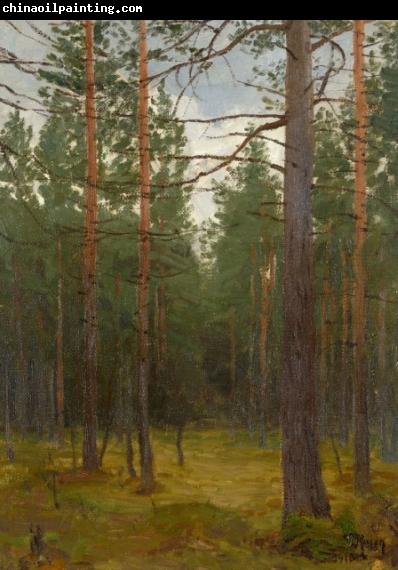 unknow artist Pine forest