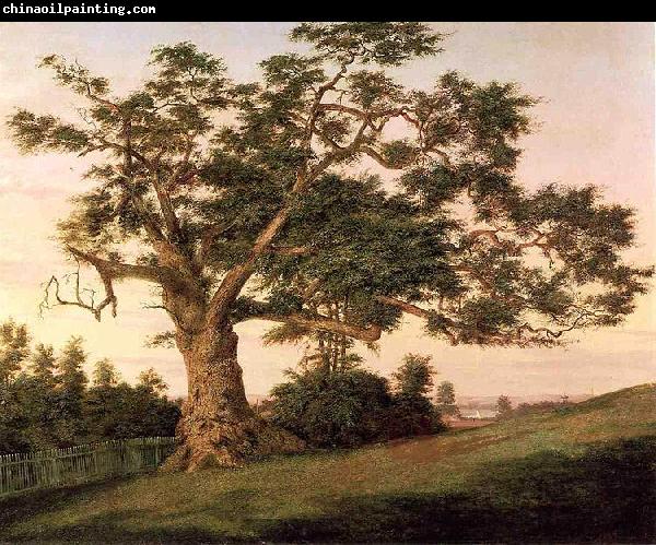 unknow artist The Charter Oak