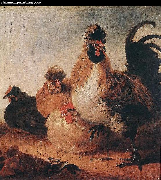 Aelbert Cuyp Rooster and Hens