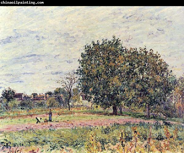 Alfred Sisley Nussbaume bei untergehender Sonne, Anfang Oktober