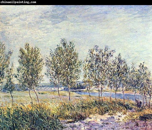 Alfred Sisley Wiese in By