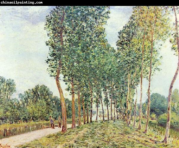 Alfred Sisley Ufer der Loing bei Moret