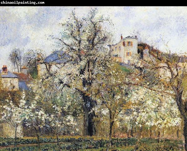 Camille Pissarro Material and Dimensions